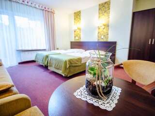 Апарт-отели Hotel Pod Szrenicą Шклярска-Поремба Двухместный номер с 1 кроватью или 2 отдельными кроватями-58